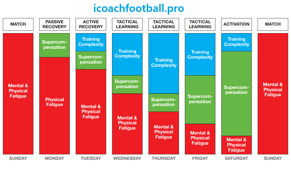 1 Game a week, Pro Football Training Drills Program for Weekly Matches